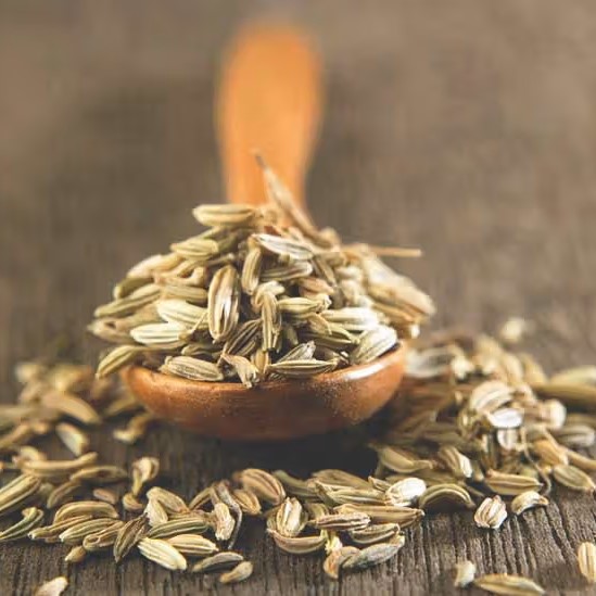 Fennel Seeds
