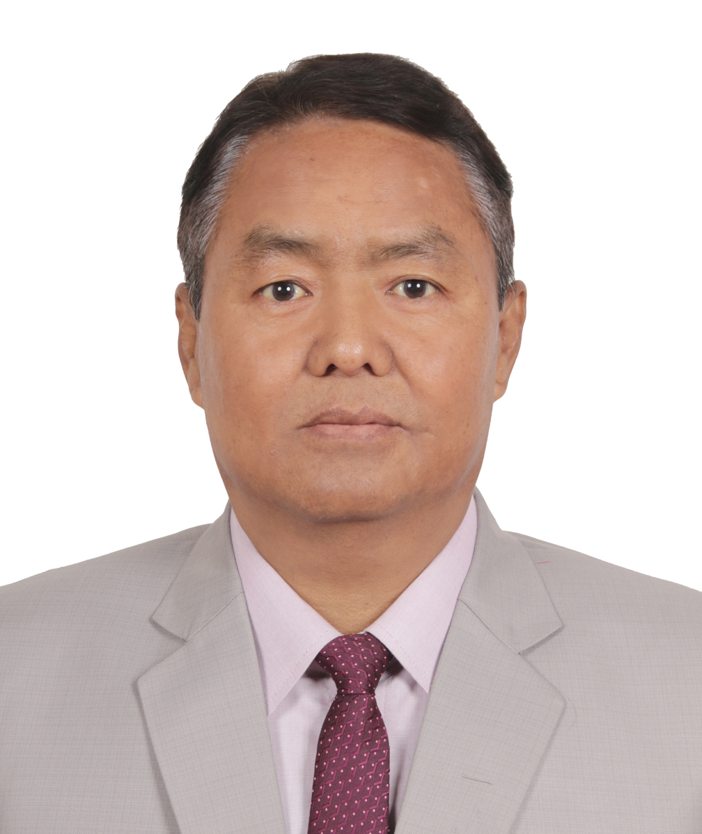 Mr. Dayasharam Pun